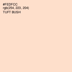 #FEDFCC - Tuft Bush Color Image